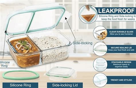 Signoraware Slim High Microwave Safe Office Two Compartment 